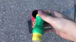 Peanut Salute shell Net Worth