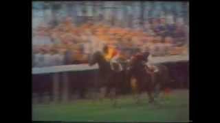1968 Eclipse Stakes