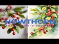 Hawthorn: The Ultimate Guide to Benefits, Uses, and Side Effects. #behealthy