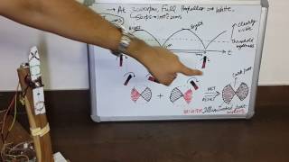 Stroboscopic effect due to tubelight (when full propellor is white)