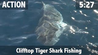 Clifftop Tiger Shark Fishing