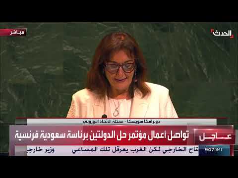 الاتحاد الأوروبي يدعم حل الدولتين ويقدم مساعدات للفلسطينيين