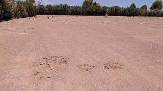 Woman says brother s headstone was buried during construction project at Phoenix cemetery