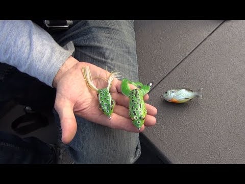 Leurre de pêche lot de vers de pêche à l'achigan