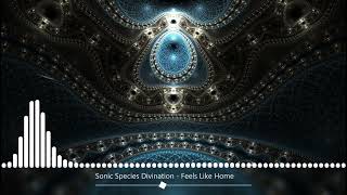 Sonic Species VS Divination  - Feels Like Home
