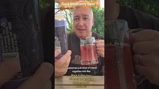 Best Blueberry Beer?! Black & Blue Sour by K2 Brothers Brewing of Rochester, NY! 🍺 #BeerGoals #beer