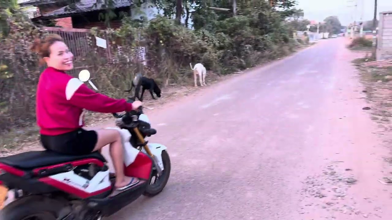 The vegetable in the rice field where Konbannok went to pick with the girls is completely covered.