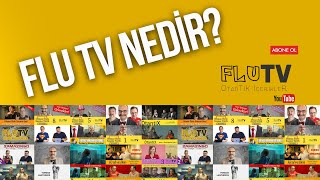 Flu Nedir?