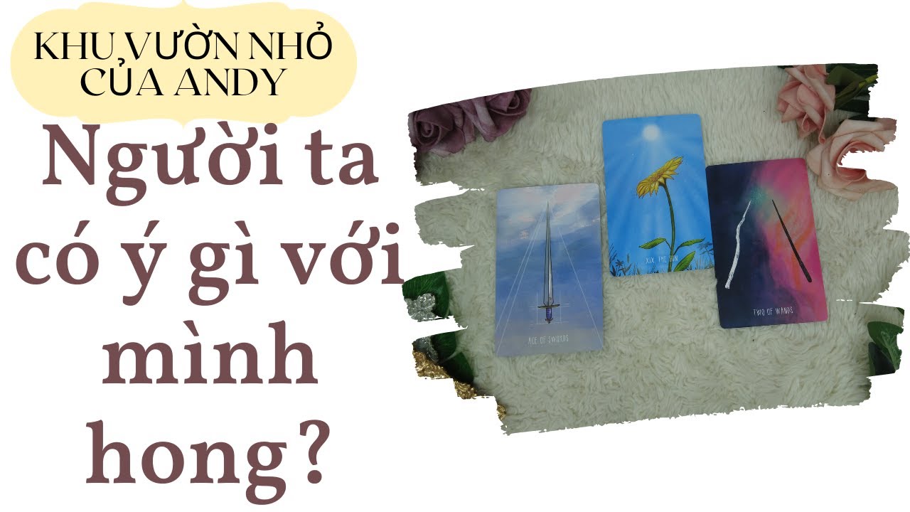 Chọn 1 tụ bài Tarot - Người ta có ý gì với mình hong - Alo Andy