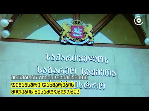 გერმანიის მთავრობა სამშობლოში დაბრუნების მსურველ საქართველოს და სხვა უცხო ქვეყნების მოქალაქეებს 3 ათ