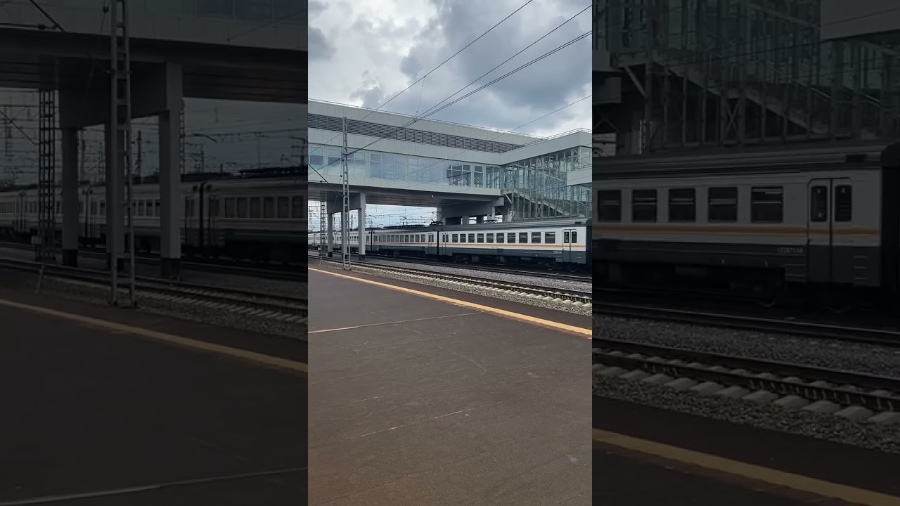 ЭД4М-0091 «ЦППК» пролетает станцию Солнечная 