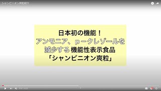 「シャンピニオン爽粒」紹介