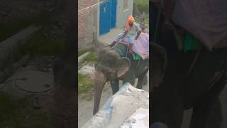 🐘 hamari Gali mei aaya hathi#short video#chavi Tanvi Ki duniya#🤩