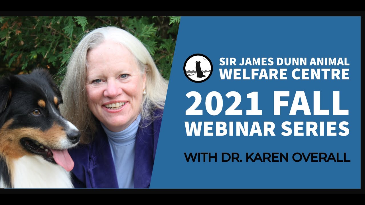 What’s new in veterinary behaviour and behavioural medicine literature