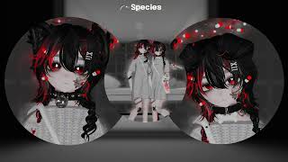 Miruxin Chan Toggle Showcase