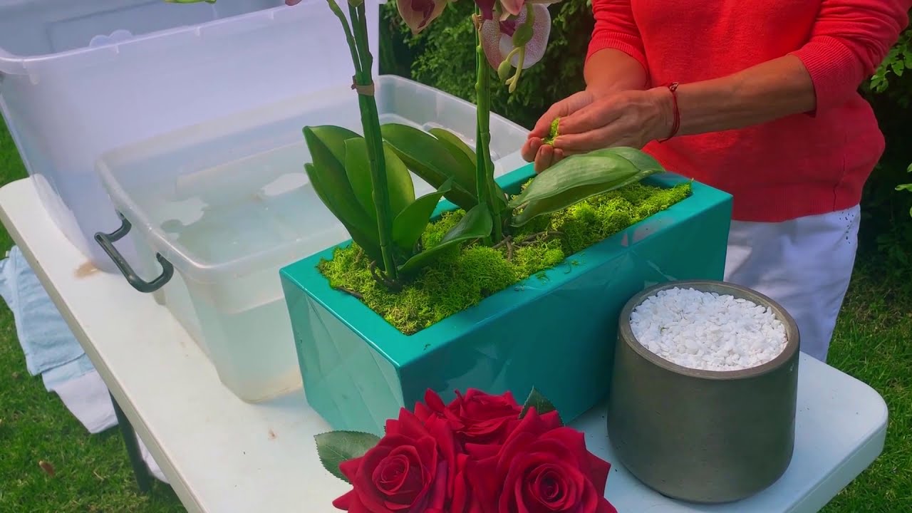 How to clean your silk plants and flower arrangements YouTube