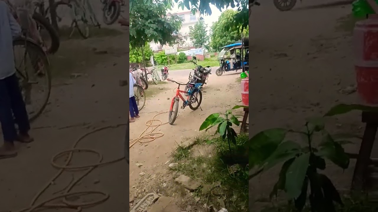 #danceperformancelive