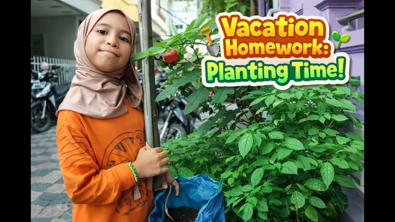 Growing Plants During School Holiday 🌼 | Mima Project
