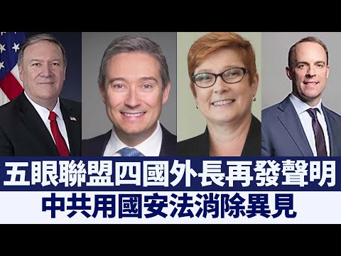 五眼联盟外长再发声明：中共用国安法消除异见