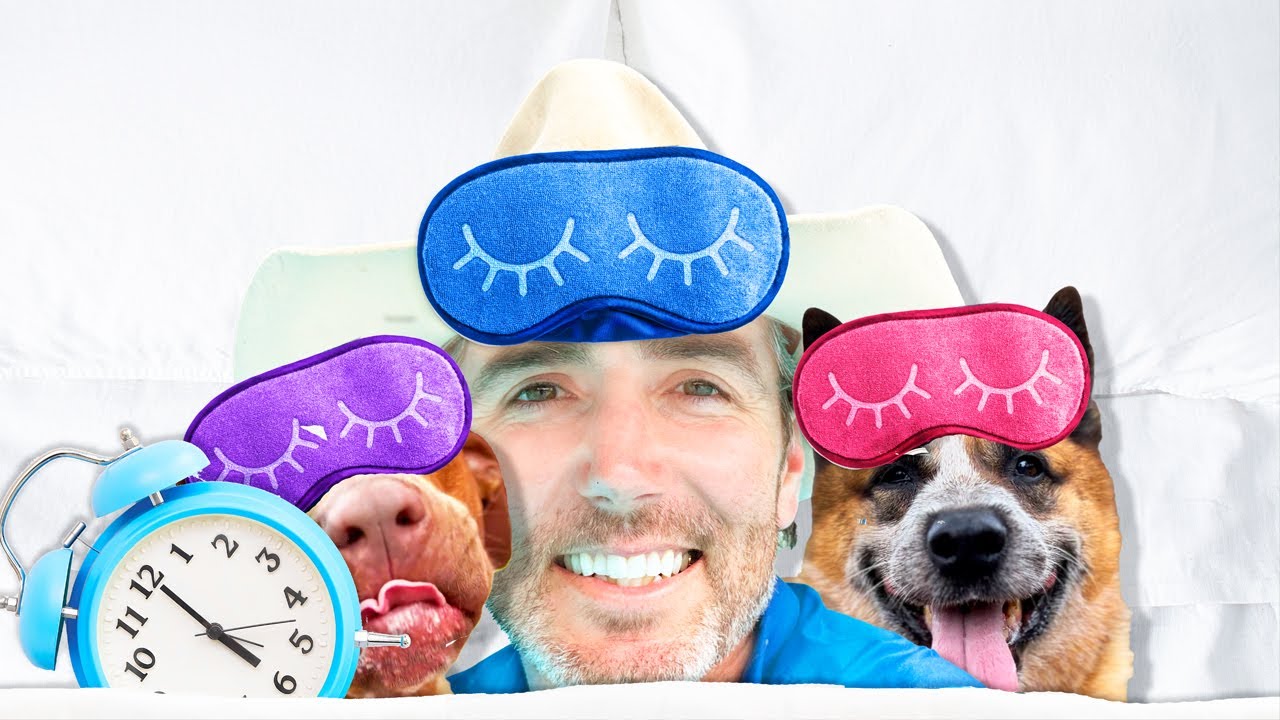 A Day In My Life VLOG | My Day Routine 20 DOGS & 3 Kids | Dog Trainer Veteran Dad | The Farm