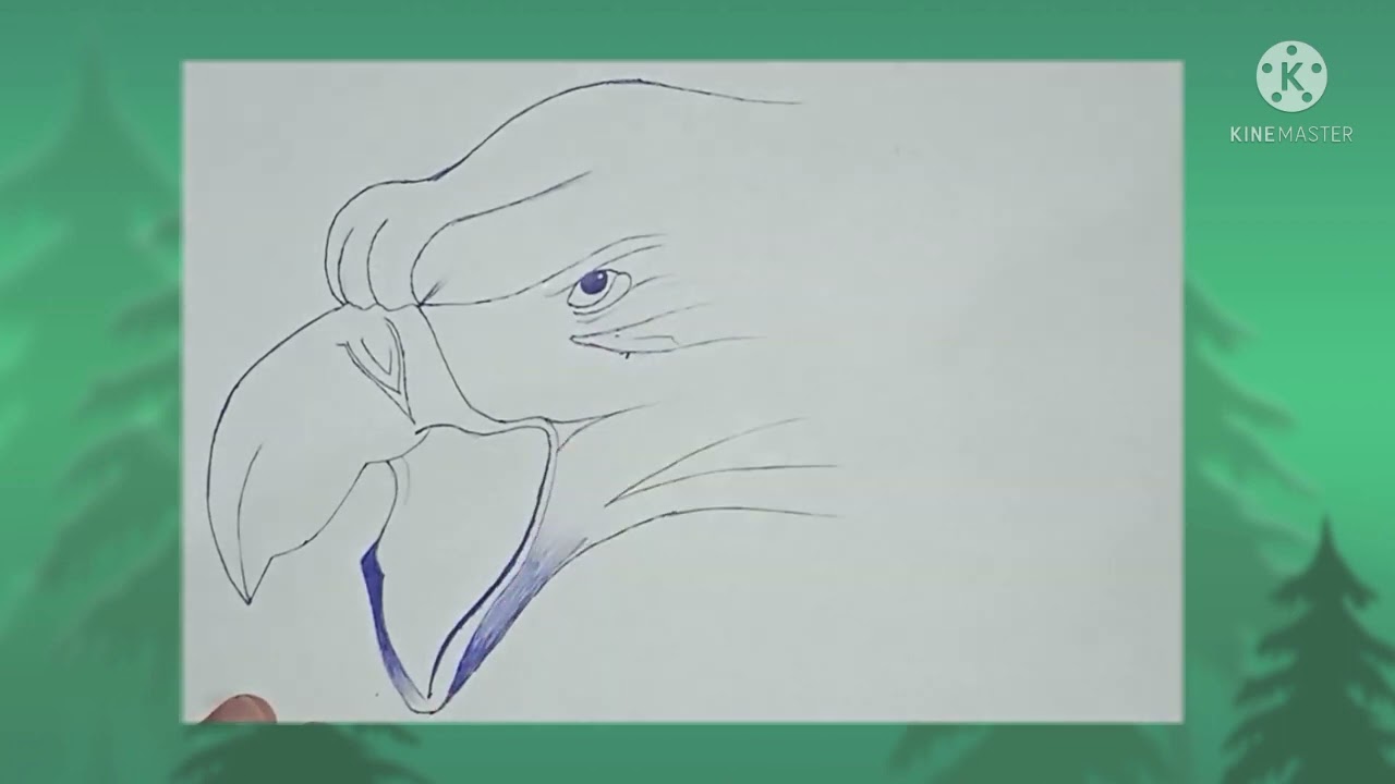 Drawing of Eagle face (pen)| How to draw Eagle