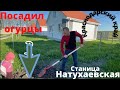 #Натухаевская 5 мая 2021 г.Ездили в бауцентр.Что купили?Посадил огурцы