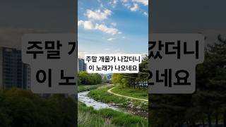 봄의일상 #노래 #음악 #song #music #봄 #spring #일상 #daily #dailyroutines