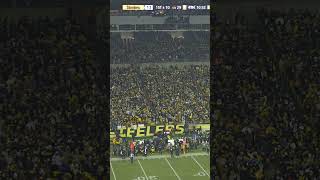 The Pittsburgh Steelers vs the