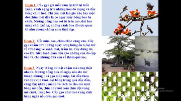 Tập làm văn lớp 4 Tuần 21 - Cấu tạo bài văn miêu tả cây cối