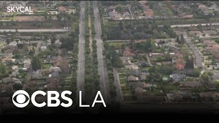 Euclid Avenue Look At This