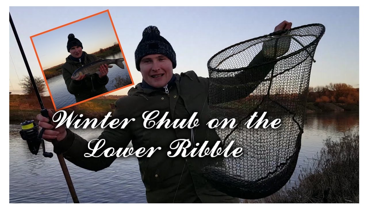 River Ribble Winter Chub part 1. - YouTube