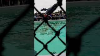 20190716 104141