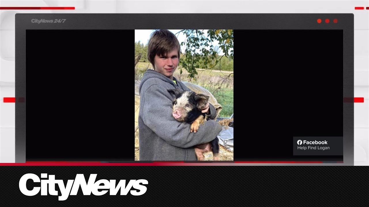 Search underway for missing autistic teen in Havelock - YouTube