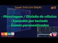 DataGrid Delphi 17 - Mesclagem e Divisão de células / Consulta por teclado / Ícones personalizados