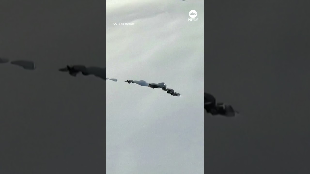 Pack of wolves tunnels through heavy snow in China – ABC News