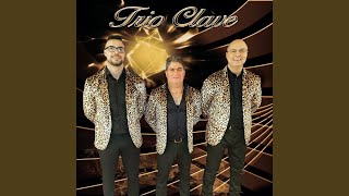 Video thumbnail of "Trio Clave - Trigueirinha"