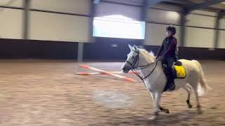 Ik Ben Heel Hard Gevallen Van Mijn Pony