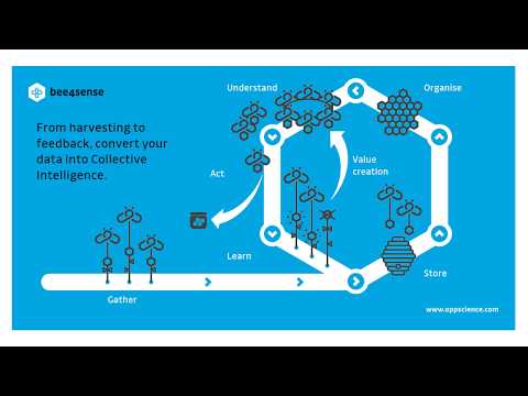 bee4sense - oppScience   AI Paris  2019 - video from oppScience