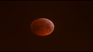 P1000  Zooming the Total Lunar Eclipse (blood moon) Jan 21st 2019