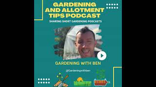 🎥 ✅ 🌿 How to Pick Your Apples & Pears 🍎🍐 | Allotment Garden Harvesting Tips 🎧