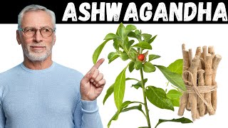 The Reason Why Everyone Is on Ashwagandha!