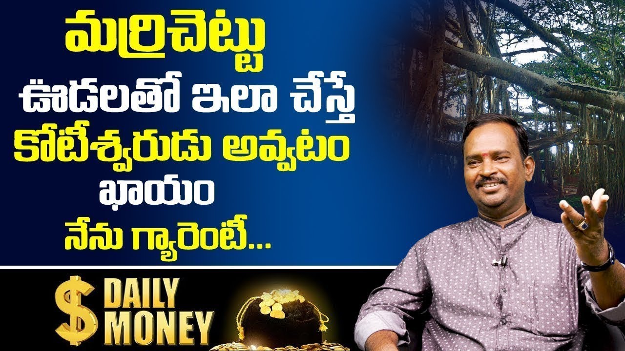 మర్రిచెట్టు ఊడలతో ఇలా చేస్తే నెలరోజులలో కోటీశ్వరుడు అవుతారు | Anantha Keishna Swamy | DAILY MONEY
