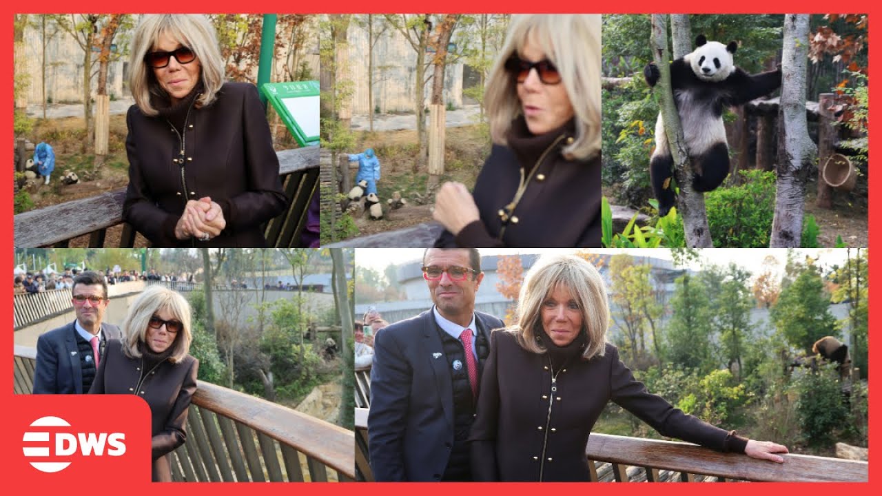 РЕДКИЕ МОМЕНТЫ: Специальный визит Брижит Макрон в Чэндуский центр содержания панд | Государственн...