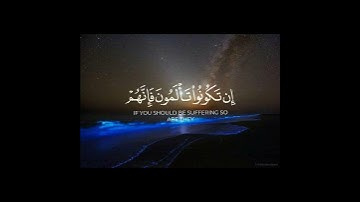 ولا تهنوا في إبتغاء القوم || سورة النساء#صالح_الجعفراوي - يوتيوب  #صالح_الجعفراوي