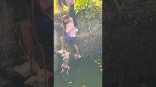 നമ്മളെ കൊണ്ട് പറ്റുന്ന പോലെ  സഹജീവികളെ സഹായിക്കുക❤️ #dogs #rescuemission