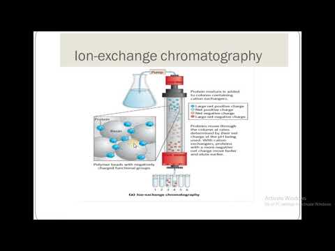 Protein Separation: Secrets