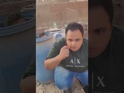غفلت بابا في الجردل  لمار سويتز  اكسبلور  