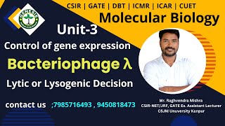Bacteriophage λ | Lytic or Lysogenic Decision | Unit-3 | Molecular Biology