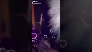 Dadu ki pari