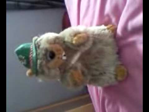 Yodeling Beaver